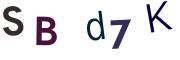 圖片的 CAPTCHA
