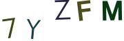圖片的 CAPTCHA