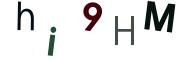 圖片的 CAPTCHA