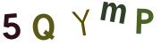圖片的 CAPTCHA