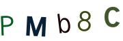 圖片的 CAPTCHA