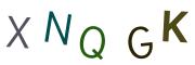 圖片的 CAPTCHA