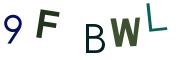 圖片的 CAPTCHA