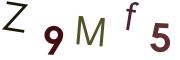 圖片的 CAPTCHA