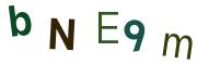 圖片的 CAPTCHA