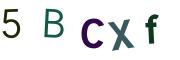圖片的 CAPTCHA