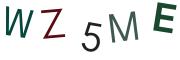 圖片的 CAPTCHA