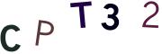 圖片的 CAPTCHA