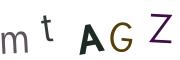 圖片的 CAPTCHA