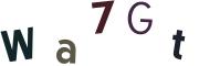 圖片的 CAPTCHA