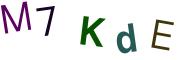 圖片的 CAPTCHA