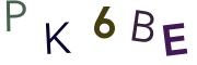 圖片的 CAPTCHA