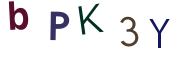 圖片的 CAPTCHA