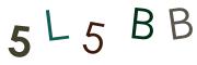 圖片的 CAPTCHA