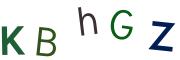 圖片的 CAPTCHA
