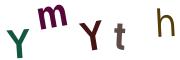 圖片的 CAPTCHA
