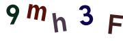 圖片的 CAPTCHA