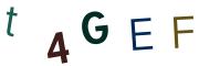 圖片的 CAPTCHA