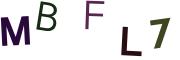 圖片的 CAPTCHA