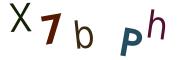圖片的 CAPTCHA