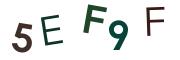 圖片的 CAPTCHA