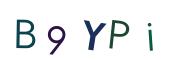 圖片的 CAPTCHA