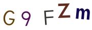 圖片的 CAPTCHA