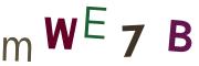 圖片的 CAPTCHA
