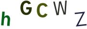 圖片的 CAPTCHA