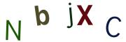 圖片的 CAPTCHA