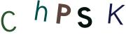 圖片的 CAPTCHA