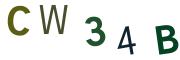 圖片的 CAPTCHA