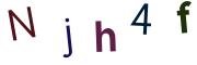圖片的 CAPTCHA