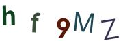 圖片的 CAPTCHA