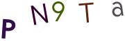 圖片的 CAPTCHA