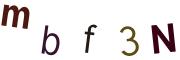 圖片的 CAPTCHA
