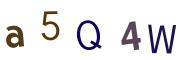 圖片的 CAPTCHA