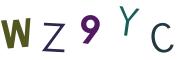 圖片的 CAPTCHA