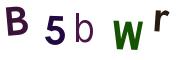 圖片的 CAPTCHA