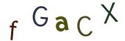 圖片的 CAPTCHA