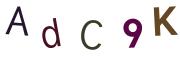 圖片的 CAPTCHA