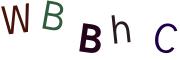 圖片的 CAPTCHA