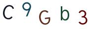 圖片的 CAPTCHA