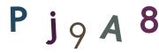 圖片的 CAPTCHA