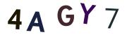圖片的 CAPTCHA