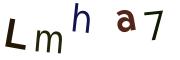 圖片的 CAPTCHA