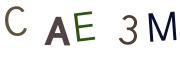 圖片的 CAPTCHA