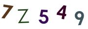 圖片的 CAPTCHA