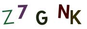 圖片的 CAPTCHA
