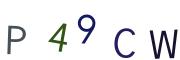 圖片的 CAPTCHA